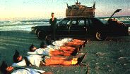 Leningrad Cowboys (7kB)